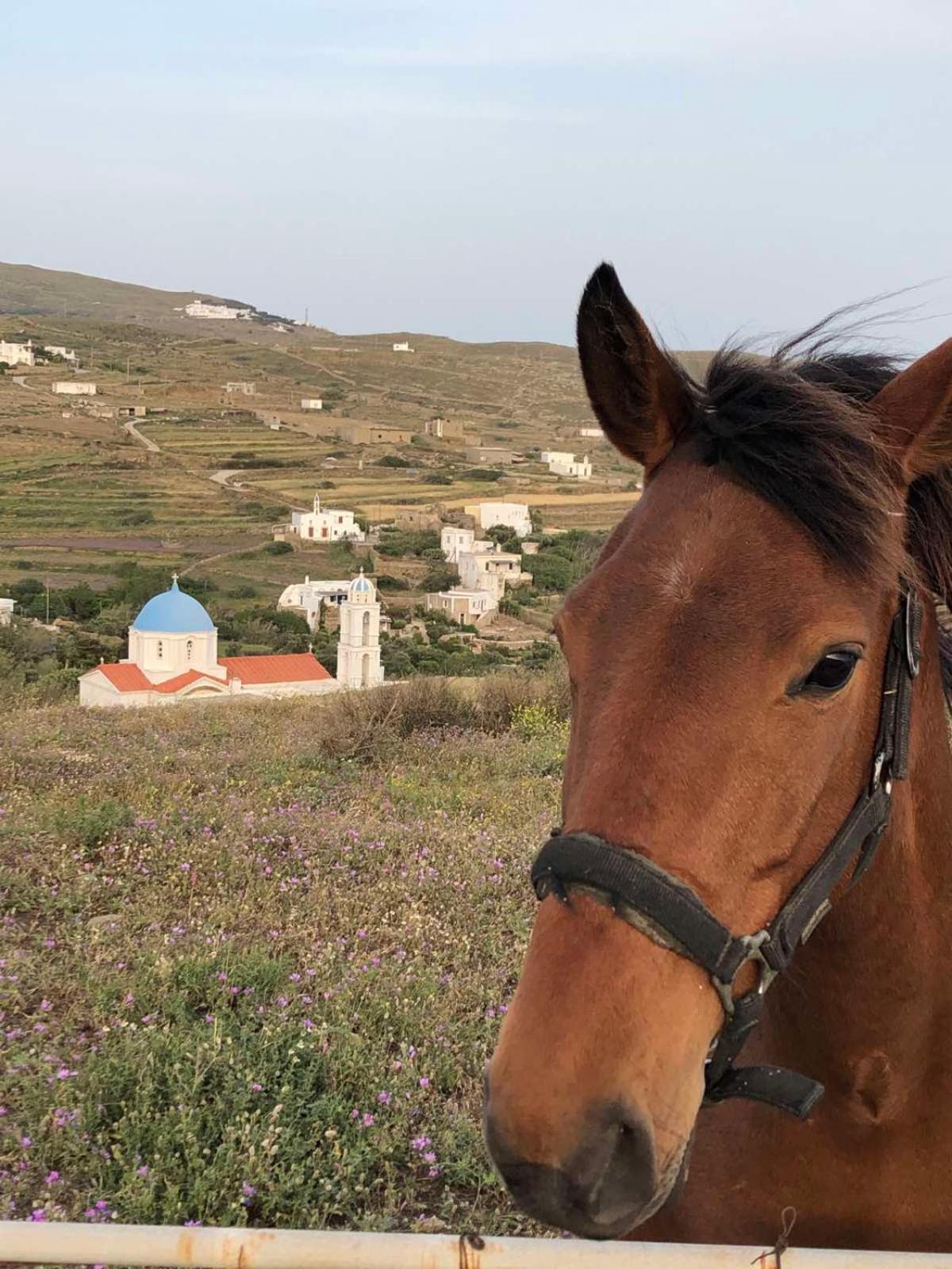 Afrodite Hotel Tinos Luaran gambar