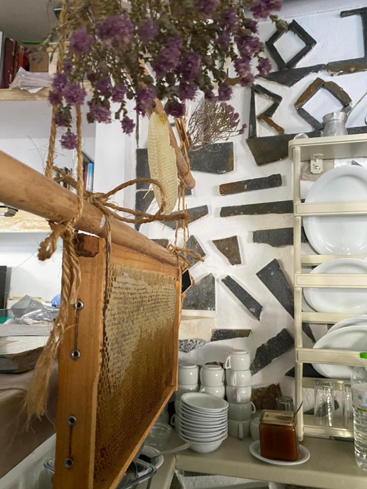 Afrodite Hotel Tinos Luaran gambar